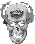 Stone Cold Steve Austin.com